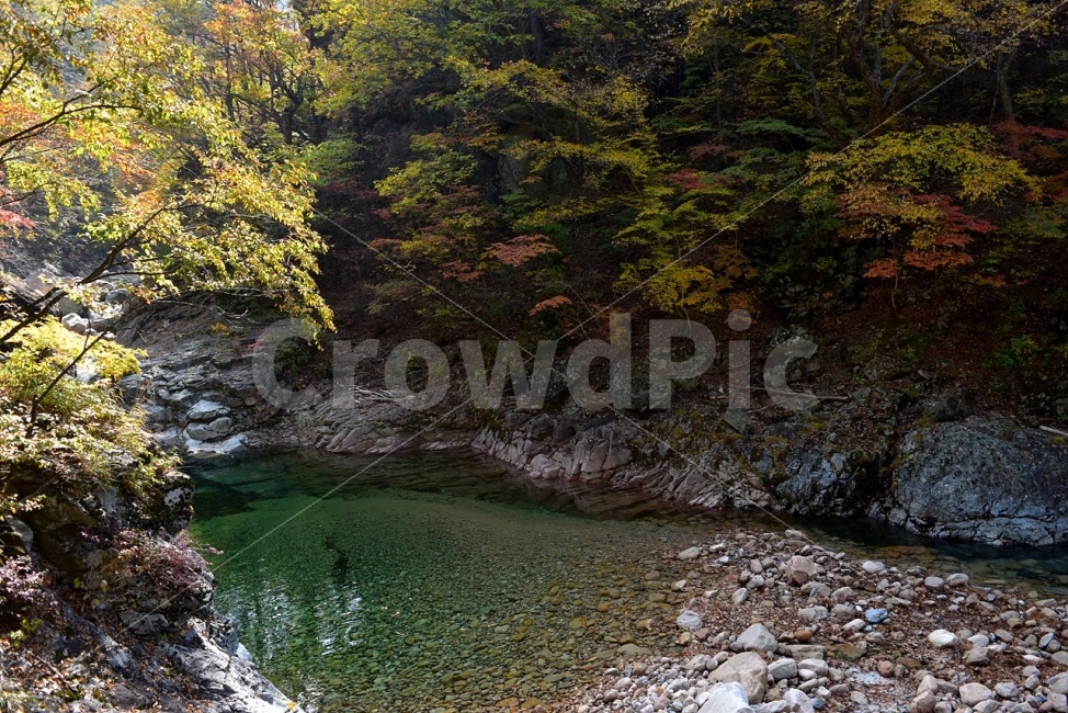 설악산,가을,단풍,풍경,백담사,구곡담계곡,수렴동계곡,계곡풍경,오색단풍,자연,스포츠,등산,산행,nature,느낌,아름다운,다큐,필,계절,디자인,힐링,명산,국립공원,순백,트레킹,단풍잎,오색,칼라풀,뷰티플,단풍터널,단풍숲,산객,등산객,그림같은,감성,절경,가을색,자연,풍경,nature,landscape,가을,계절,fall,autumn,season,water,물,outdoors,옥외