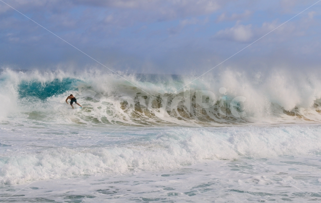 	서핑,파도타기,파도,여름,바다,하와이,Hawaii,샌디비치,비치,해변,서퍼,거대한,웅장항,강력한,surfer,바닷가,해안,자연,풍경,아름다운,익사이팅,익스트림,레져,스포츠,운동,수상스포츠,해양스포츠,여가,취미,오하우,짜릿한,시원한,휴가,휴양지,관광,여행지,스릴,자연,풍경,nature,landscape,여름,계절,summer,season,해외,외국,세계,foreign,oversea,world,사람,인물,인간,human,person,스포츠,레저,운동,sports,leisure,exercise,sea,outdoors,옥외,water,물,ocean,대양
