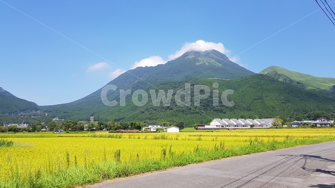산,일본,논밭,밭,하늘,자연,봄,계절,spring,season,자연,풍경,nature,landscape,outdoors,옥외