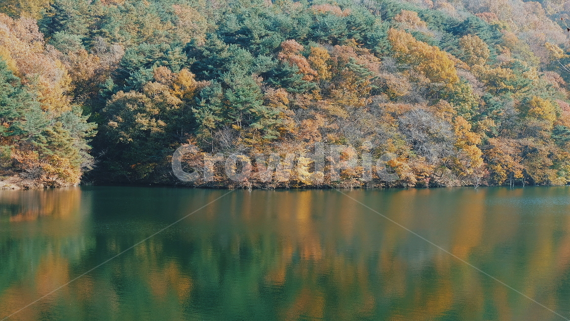 가을,단풍,자연,풍경,반영,강,저수지,가을,계절,fall,autumn,season,자연,풍경,nature,landscape,water,물,outdoors,옥외