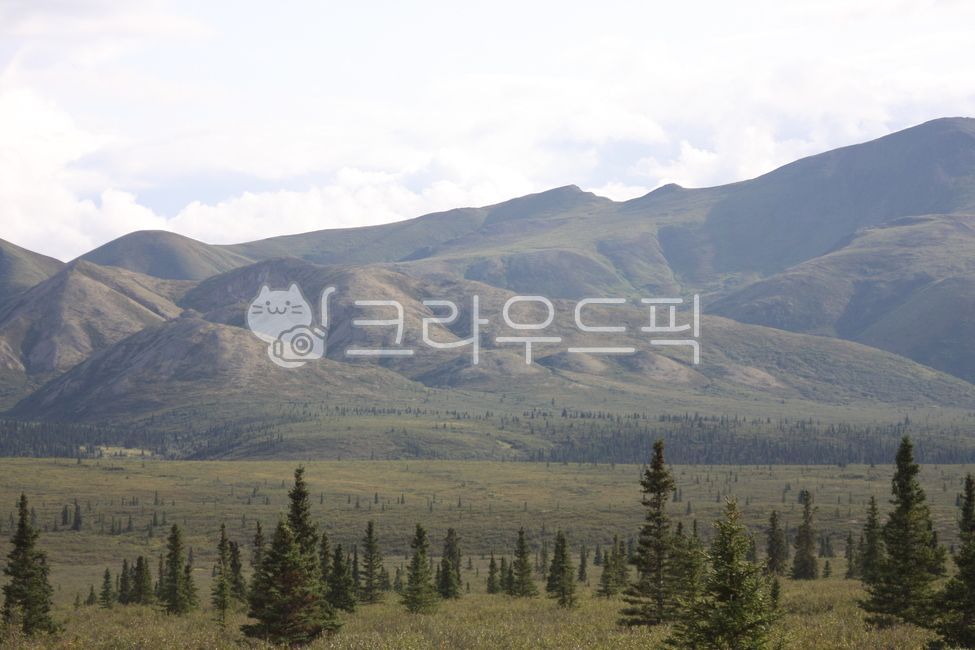 cloud,tundra,mountain,Denali National Park,nature,trekking,alaska,sight,Alaska,denalinationalpark
