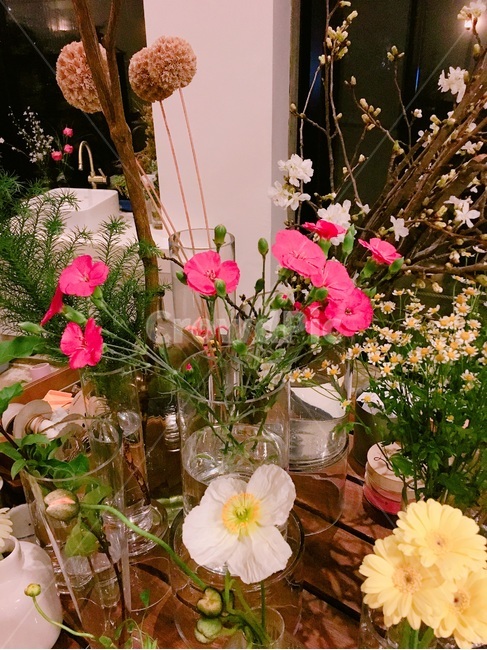 꽃,식물,꽃집,수선화,하얀수선화,꽃,flower,실내용화초,화분,화초,house plant