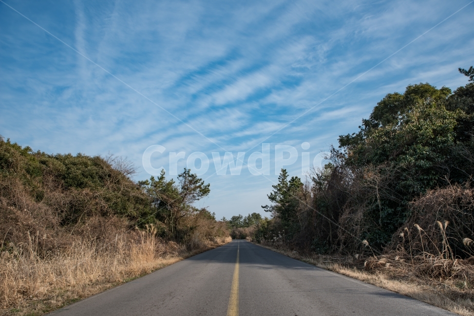 제주도,예쁜길,풍경,중산간,예쁜도로,자연,풍경,nature,landscape,교통,교통수단,traffic,transportation,asphalt,아스팔트,road,도로,freeway,고속 도로,highway,고속도로