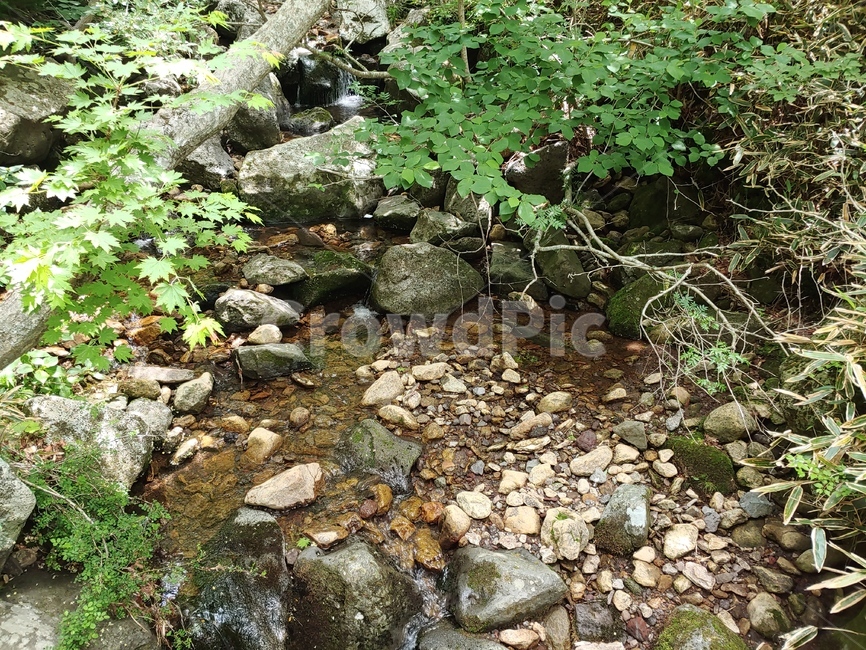 숲길,초록,나무,잎,계곡,mountain,sky,clouds,green,등산,한라산,배경,바위,rock,stone,trail,walkway