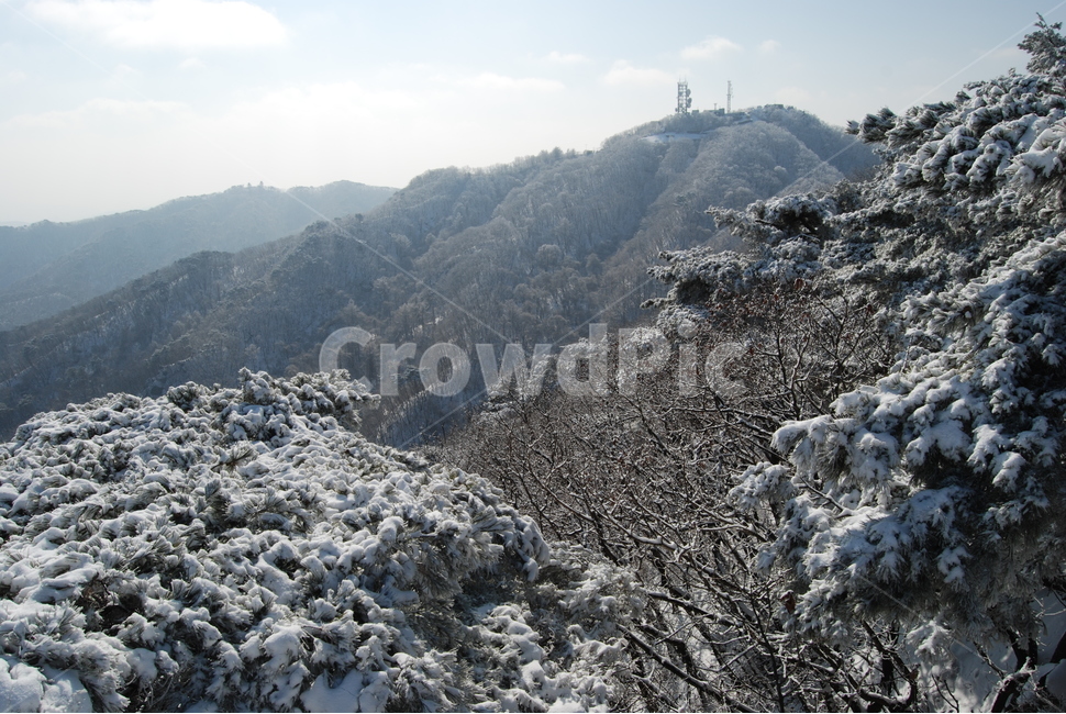 청계산,100대명산,매봉,설원,등산로,능선,치유,여행,돌,산행,힐링,자연,동행,등산,계절,한국,한국명산,한국등산,풍경,나무,하늘,겨울,계절,winter,season,자연,풍경,nature,landscape,한국자연풍경,한국자연경관,korea nature landscape,outdoors,옥외,slope,경사