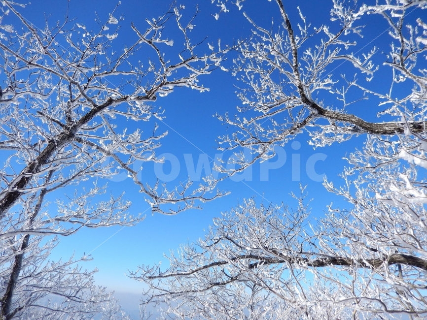 민주지산,눈꽃풍경,상고대,겨울풍경,겨울동화,눈풍경,파란하늘,100대명산,겨울명산,설경,서리꽃,영동,자연,풍경,nature,landscape,겨울,계절,winter,season,outdoors,옥외
