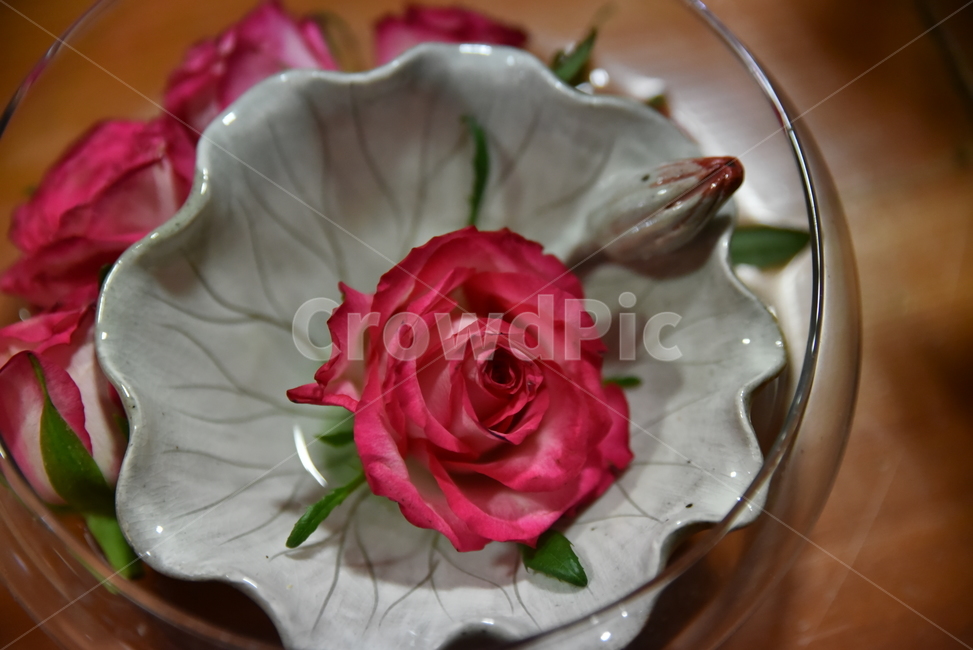 장미,꽃꽂이,빨간장미,연화잔,꽃,꽃,flower