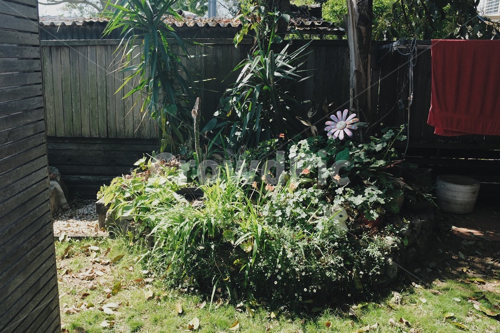 화분,pottedplant,식물,항아리,plant,outdoors,야외정원,풀,꽃,정원가꾸기