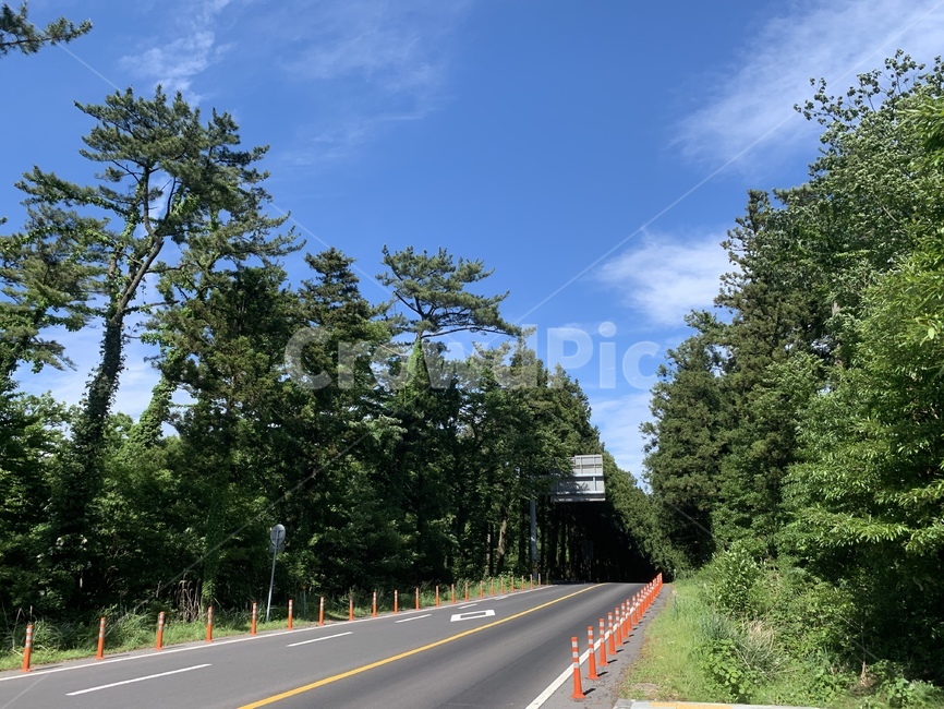 도로,road,고속도로,highway,freeway,asphalt,아스팔트,타맥,교통,교통수단,traffic,transportation