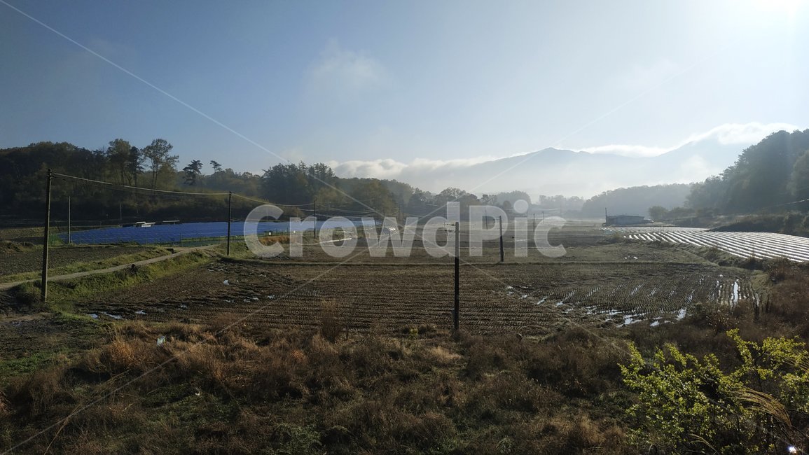아침,시골,자연,nature,안개,햇살,괴산,시골,마을,풍경,landscape,country,rural,town