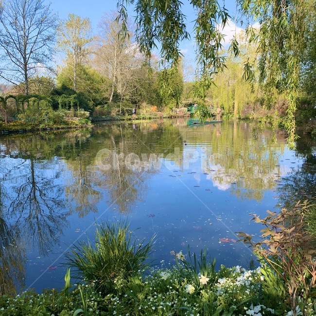 nature,자연,water,물,plant,식물,tree,나무,outdoors
