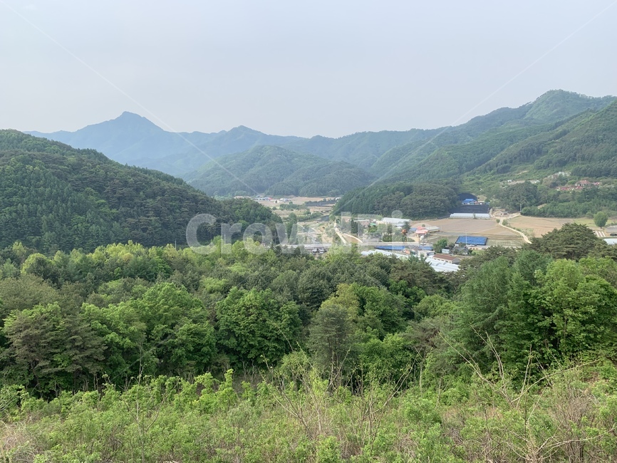 자연,자연속마을,마을,길,산
