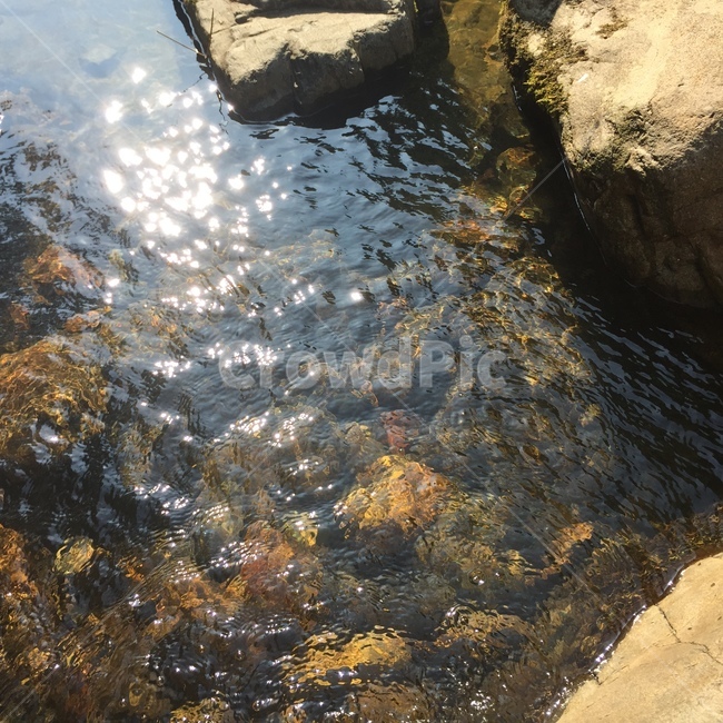 냇물,계곡,물,흐르는물,개울,자연,풍경,nature,landscape,water,outdoors,옥외