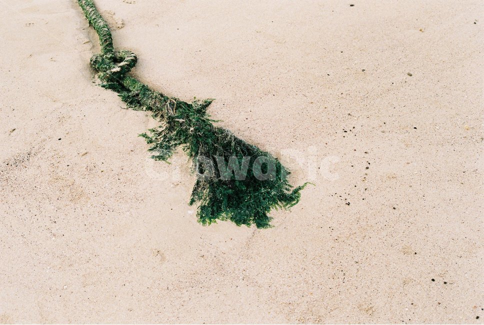 모래,바다,밧줄,제주도,해변,자연,외로움,적막,쓸쓸,해변,바다,beach,sea