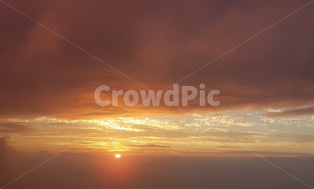 nature,자연,outdoors,sunlight,햇빛,옥외,자연,풍경,nature,landscape