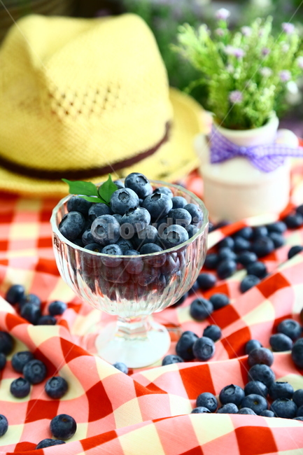 블루베리,베리,과일,blueberry,berry,fruit,food,sweet,fresh,음식,식재료,요리,food,cook,meal,dishes,food reserves,과일,열매,fruit