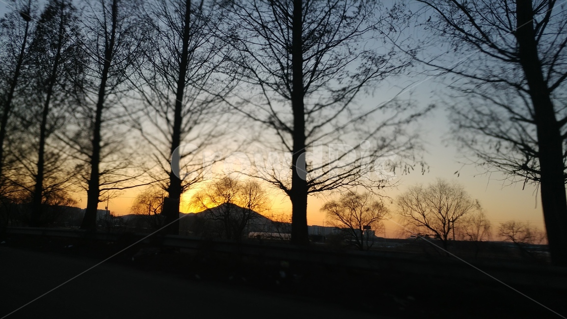 석양,나무가지,저녁노을,한적한,겨울,바람,고요한,차가움,자연,풍경,nature,landscape,실루엣,그림자,silhouette,shadow,outdoors,옥외,dusk,황혼,sunset,일몰,sky,하늘,dawn,새벽,red sky,붉은 하늘