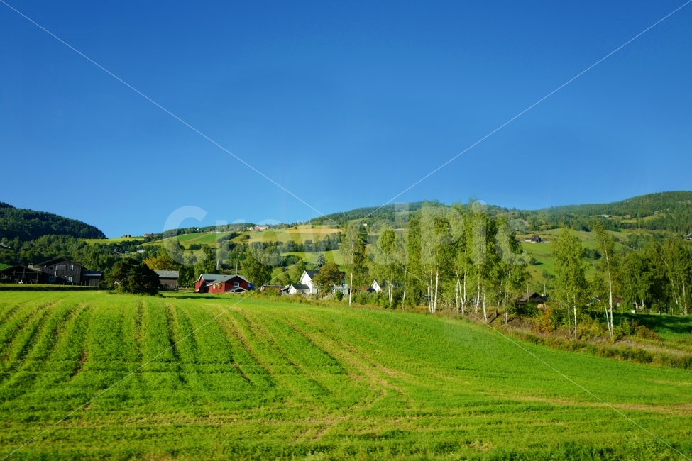 초원,하늘,마을,집,풍경,자연,풍경,nature,landscape,시골,마을,country,rural,town,해외,외국,세계,foreign,oversea,world,세계자연풍경,해외자연풍경,외국자연풍경,world nature landscape,field,들,outdoors,옥외,grassland,목초지