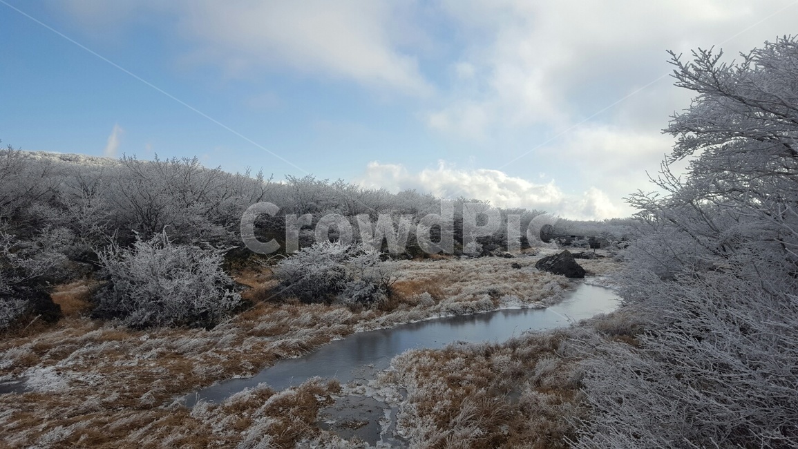 눈,눈꽃,겨울,고독,추움,얼음,얼음꽃,제주도,하늘,겨울하늘,감성,겨울,계절,winter,season