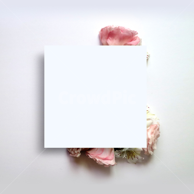 백그라운드,식물,자연,계절,봄,꽃,배경,배경이미지,내추럴,flower,nature,flora,background,꽃잎,프레임