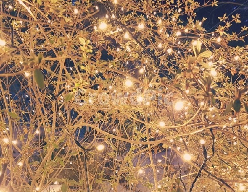 lighting,조명,light,빛,인공적인