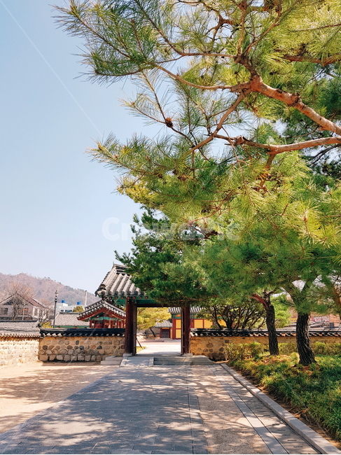 김해,수로왕릉,유적지,전통,한국전통,햇살,유적,자연,풍경,nature,landscape,outdoors,옥외