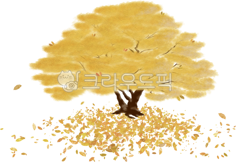 Ginkgo,money tree,tree,play with autumn leaves,Congratulations on opening the business,ginkgo leaves,fallen leaves,Maple tree,autumn,Maple