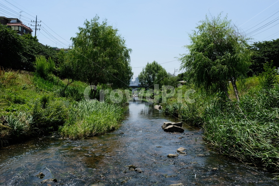 서울,불광천,개천,풍경,산책,도시,풍경,city,landscape,한국도시풍경,한국도시경관,korea cityscape,water,물,ditch,도랑,outdoors,옥외,nature,자연