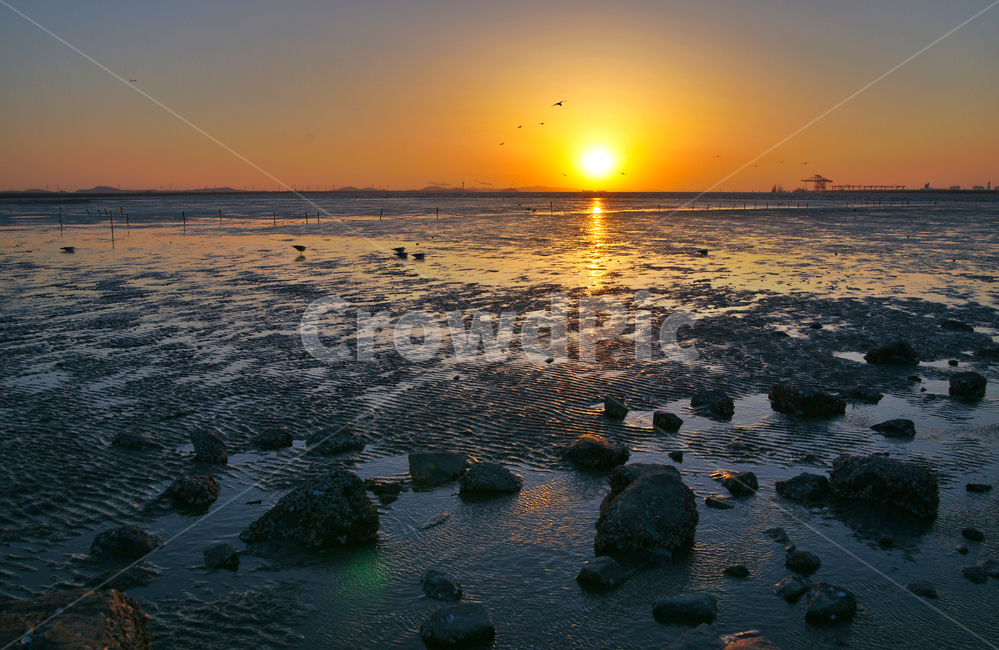 일몰,석양,서해안,갯벌,썰물,자연,풍경,nature,landscape,outdoors,옥외,light,빛,flare,플레어