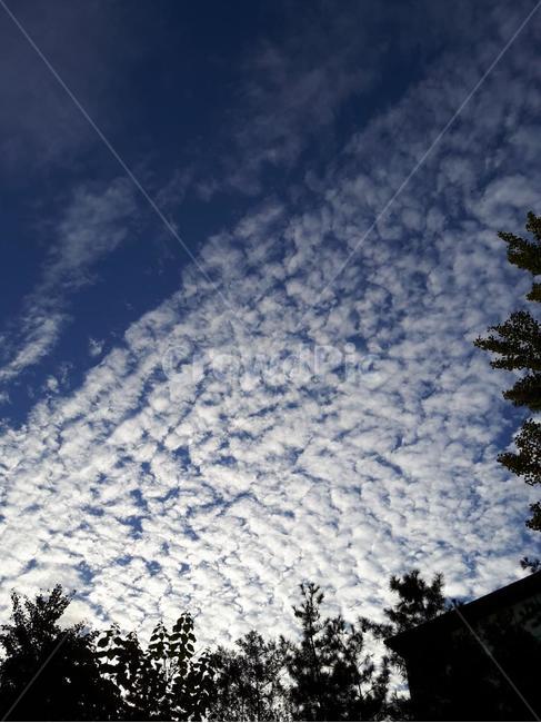 nature,자연,outdoors,옥외,sky,하늘,자연,풍경,nature,landscape,실루엣,그림자,silhouette,shadow