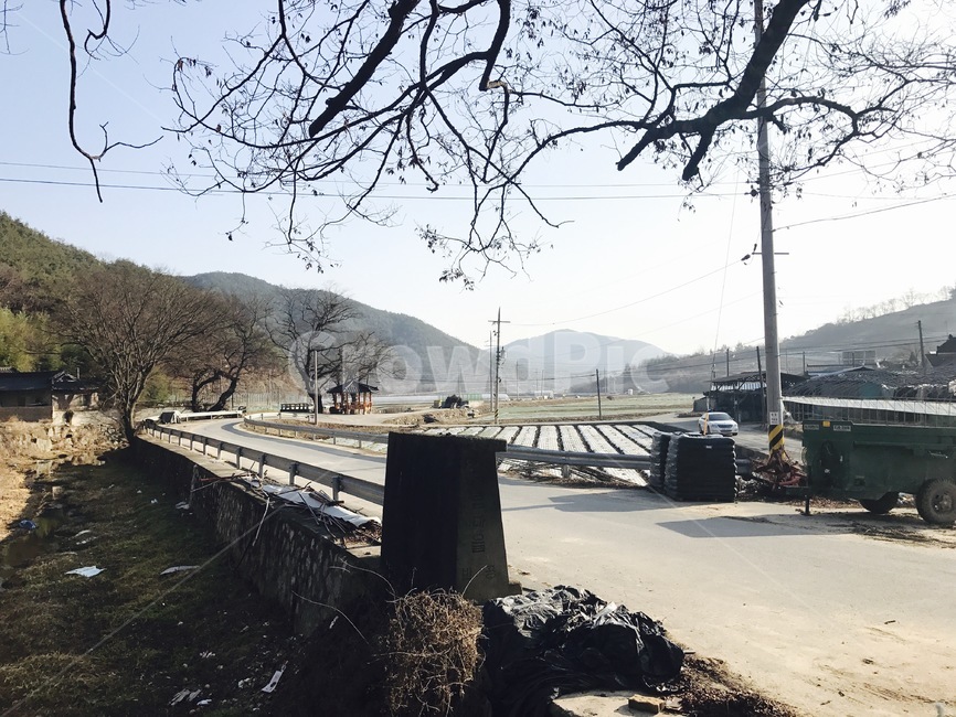 풍경,시골길,가을,감성사진,시골,시골,마을,풍경,landscape,country,rural,town
