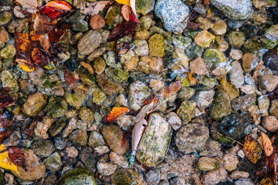 가을,시냇물,물,돌,자연,감성,가을분위기,fall,autumn,가을,계절,fall,autumn,season,rubble,파편