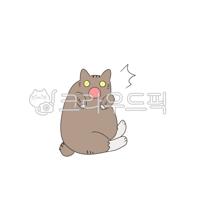 cat,animal,fat cat,obesity