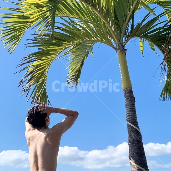 인물,휴양지,야자수,여름,헬스,하늘,summer,palmtree,person,뒤,back,식물,plant,나무,arecaceae,human