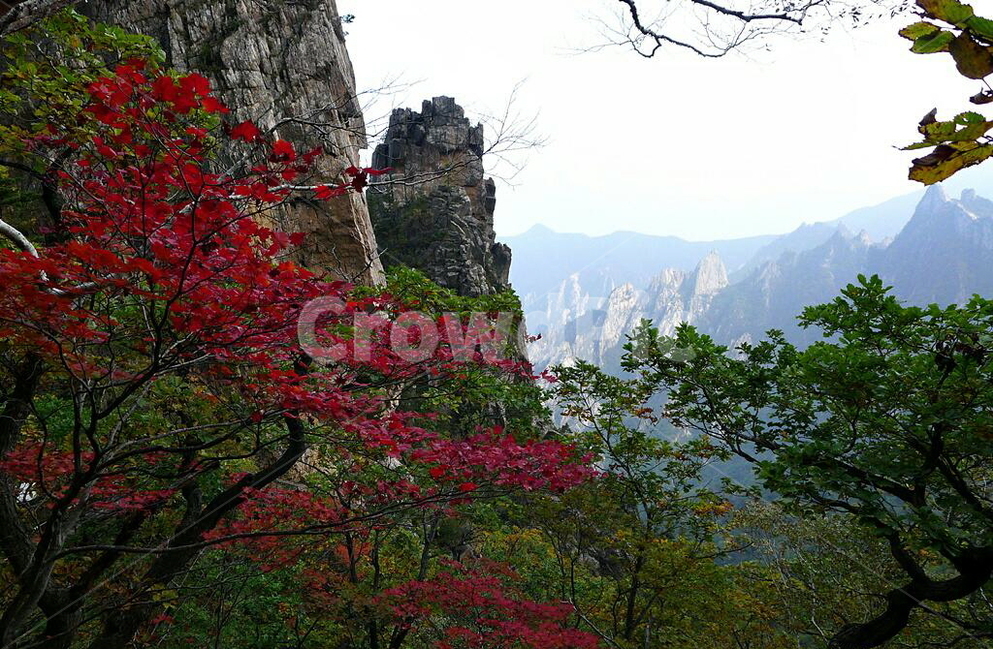 설악산,공룡능선,가을,단풍,세존봉,가을,계절,fall,autumn,season,자연,풍경,nature,landscape,한국자연풍경,한국자연경관,korea nature landscape,outdoors,옥외,cliff,낭떠러지,tree,나무,plant,식물