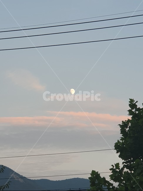 nature,자연,outdoors,옥외,전선,달,노을,나무,산,자연,풍경,nature,landscape
