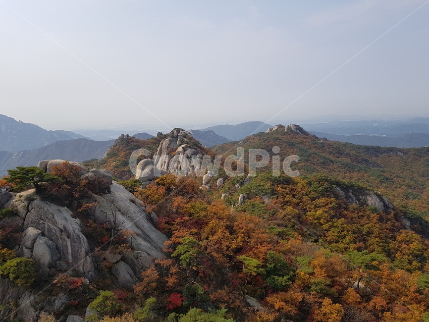 북한산국립공원,도봉산,낙엽,가을풍경,나무,바위
