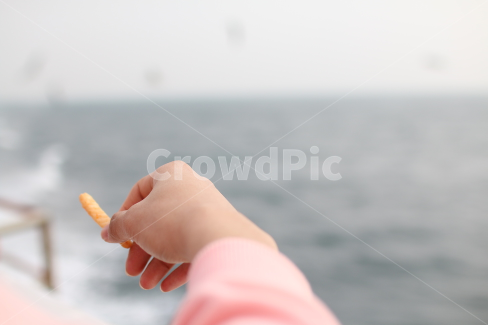 새우깡,먹이,바다,손,손가락,과자,남자,남자손,남자손가락,사람,인물,인간,human,person,신체일부,몸,body