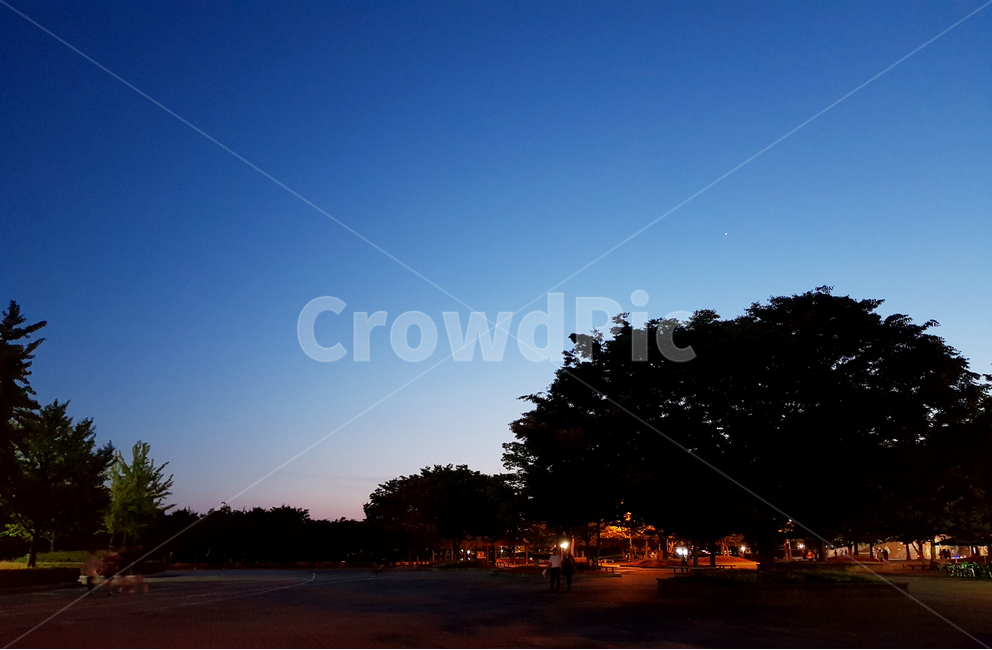 공원,저녁,노을,블루,해질녘,호수공원,풍경,나무,선셋,여름,park,sunset,blue,dust,석양,landscape,tree,summer,자연,풍경,nature,landscape,야경,밤,nightscape,night