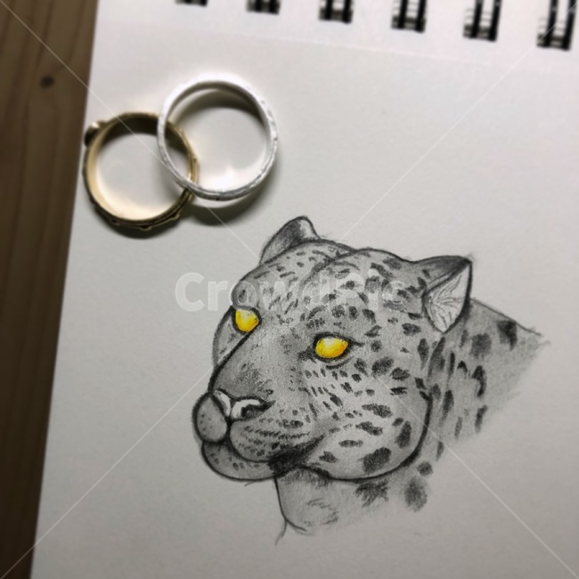 표범,퓨마,푸마,블랙팬서,그림,스케치,반지,낙서,스케치북,감성,동물,animal,예술,art