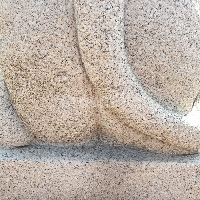 piece,lion,guardian,모양,꼬리