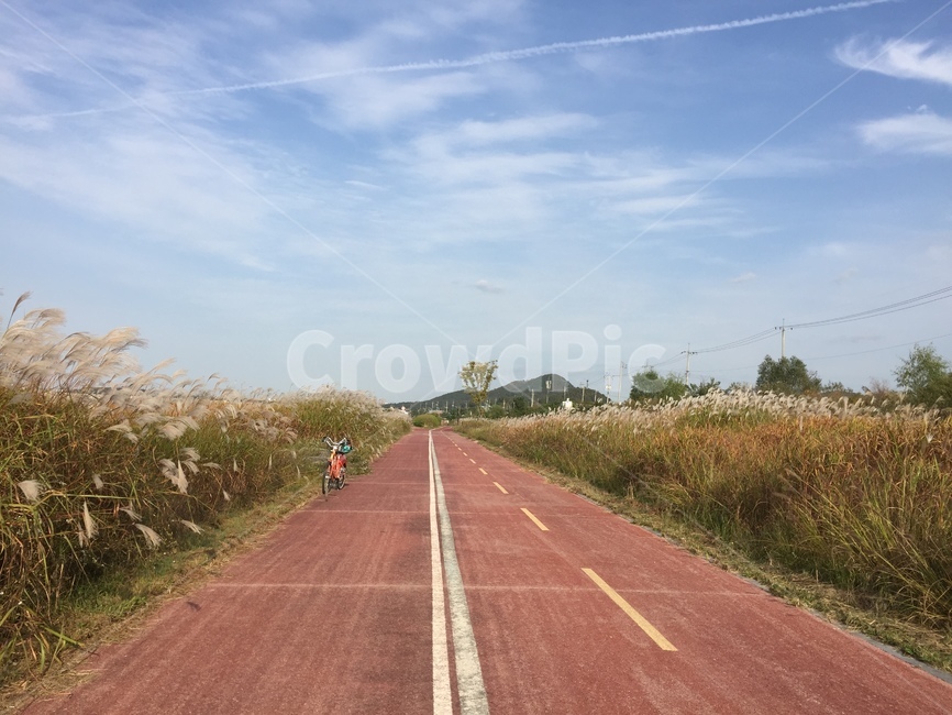 가을,하늘,자전거,갈대,도로,자연,풍경,nature,landscape,asphalt,아스팔트,road,highway,고속도로,freeway,고속 도로