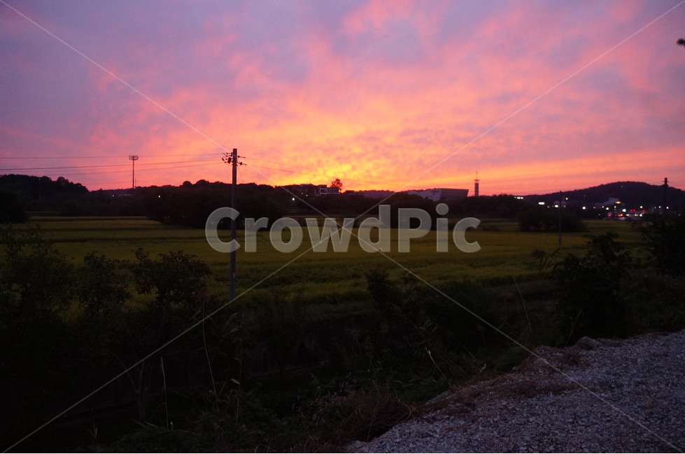 자연,nature,석양,하늘,sky,빨간색,붉은하늘,붉은노을,들판,outdoor,들,자연,풍경,nature,landscape