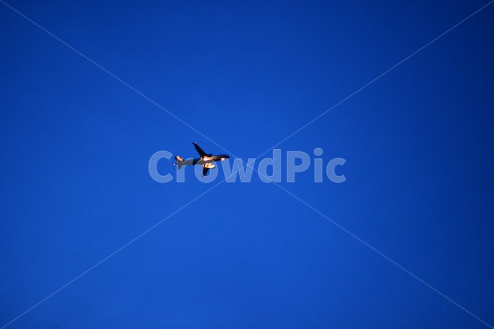 flying,aircraft,항공기,transportation,교통,airplane,비행기,밤,저녁,불빛,교통수단