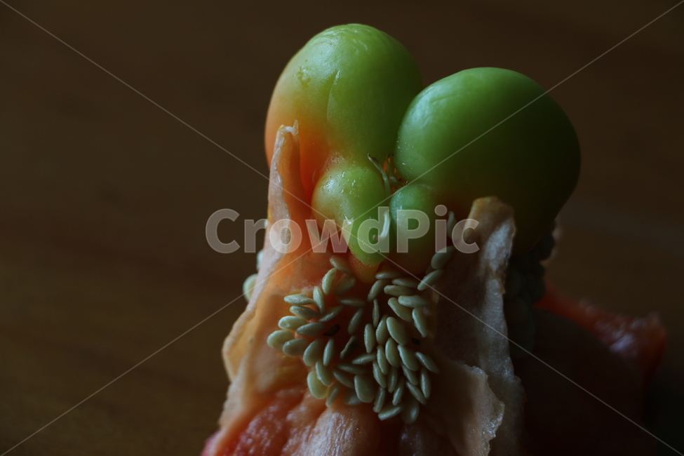 파프리카,paprika,씨,seed,색상,파프리카내부,음식,식재료,요리,food,cook,meal,dishes,food reserves,채소,야채,vegetables