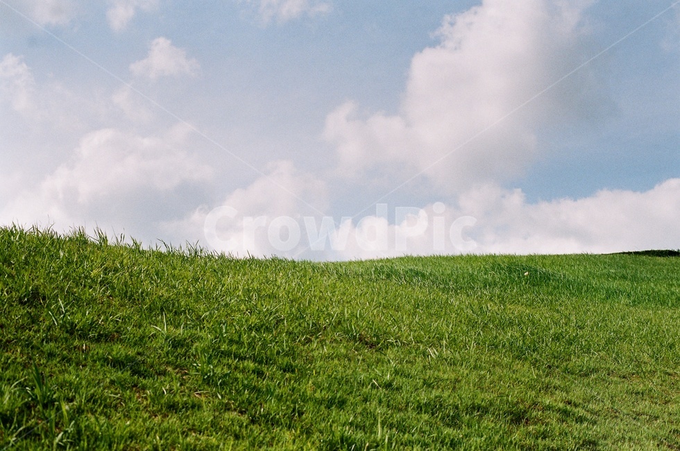 들판,하늘,언덕,잔디,잔디밭,피크닉,소풍,필름,필름사진,자연,풍경,nature,landscape,grassland,목초지,outdoors,옥외,field,들,farm,농장,rural,농촌,meadow