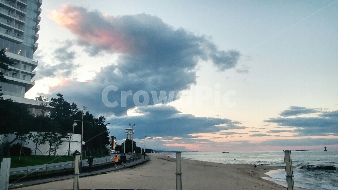 강릉,바다,해변,산책,산책길,숲길,해변가,백사장,해변,바다,beach,sea