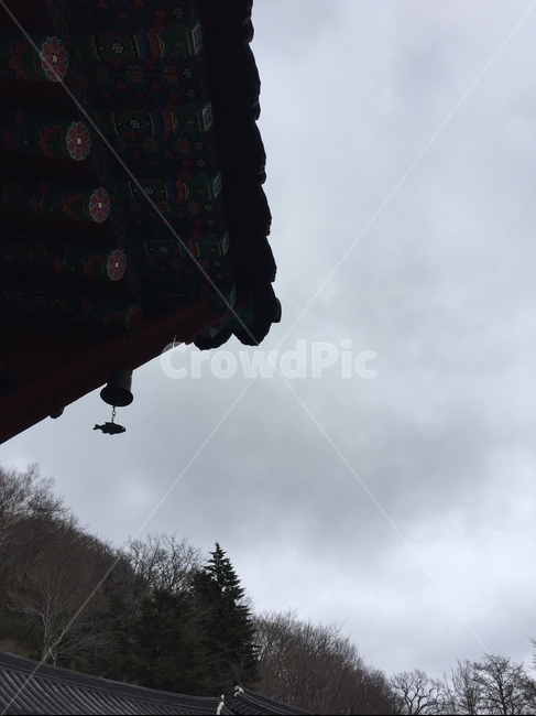 절,산사,절풍경,사찰,산절,절종,절풍경,풍경소리,산속절,지리산,법계사