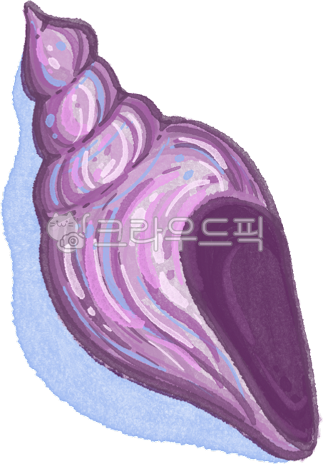 conch,sea,conch shell,conch sound,sea sound,beach,shell,conch watercolor,conch illustration,sea watercolor