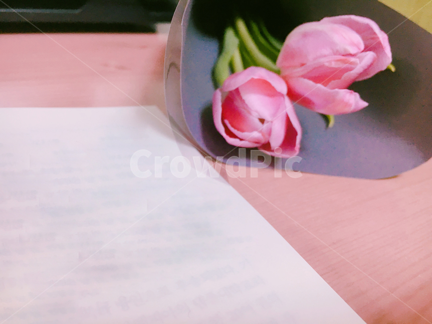 꽃,튤립,책상,메모,분홍,꽃다발,핑크,desk,꽃,flower,기념일,축하,anniversary,congratulation,celebrate,celebration